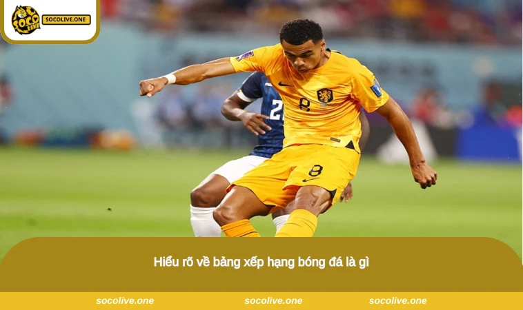 Hiểu rõ về bảng xếp hạng bóng đá là gì