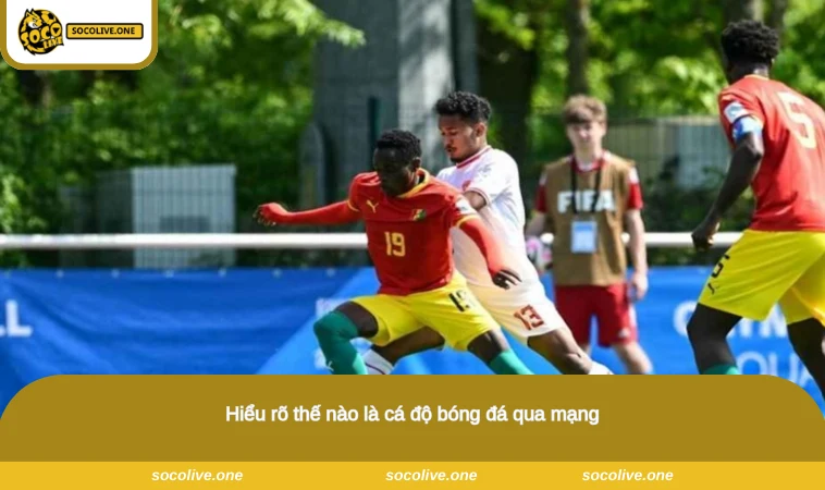 Cá Độ Bóng Đá Qua Mạng - Trải Nghiệm Hấp Dẫn, Thưởng Lớn 1 Hiểu rõ thế nào là cá độ bóng đá qua mạng
