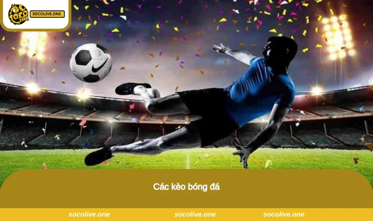 Cá Độ Bóng Đá Qua Mạng - Trải Nghiệm Hấp Dẫn, Thưởng Lớn 2 Các kèo bóng đá