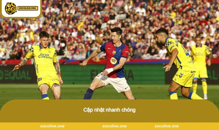 Cập nhật nhanh chóng